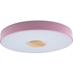 Светильник Loft IT потолочный светодиодный Axel 10003/24 pink