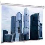 Экран Lumien Eco Picture LEP-100101