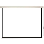 Экран с электроприводом Lumien (LEC-100115) Eco Control 152x240 см