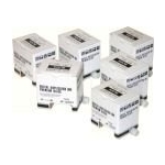 Чернила Ricoh Digital Duplicator Ink Black Type 500 (893536)