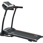 Беговая дорожка Royal Fitness RF-7