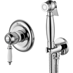 Гигиенический душ Lemark Villa с гигиенической лейкой, встраиваемый, хром (LM4819C)