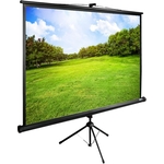Экран Cactus 150x200 см TriExpert CS-PSTE-200x150-BK (CS-PSTE-200X150-BK)