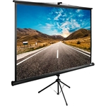 Экран Cactus 160x160 см TriExpert CS-PSTE-160x160-BK (CS-PSTE-160X160-BK)