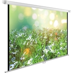 Экран Cactus 200x200 см WallExpert CS-PSWE-200x200-WT (CS-PSWE-200X200-WT)