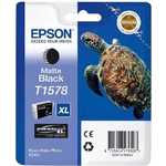 Картридж Epson Stylus Photo R3000 (C13T15784010)
