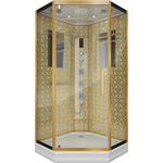 Душевая кабина Niagara NG-7717G 100х100х220