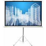 Экран для проектора Cactus CS-PST-104x186 16:9 напольный