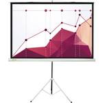 Экран для проектора Cactus CS-PST-180x180 1:1 напольный