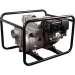 Мотопомпа DDE PTR100H