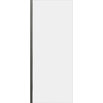 Боковая стенка Cezares Lux Soft FIX 100x200 прозрачная, хром (LUX-SOFT-W-100-FIX-C-Cr-IV)