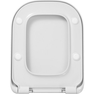 Сиденье для унитаза Roca The Gap с микролифтом, петли хром (801472001)