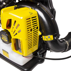 Воздуходувка бензиновая садовая Champion GBR376