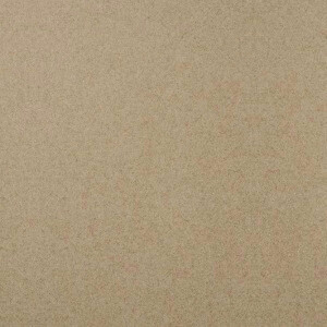 Кухонная мойка Omoikiri Tasogare 86 CA карамель (4993458)