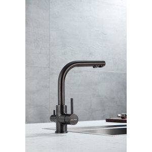 Смеситель для кухни Paulmark Essen с подключением фильтра, вороненая сталь (Es213011-GM)