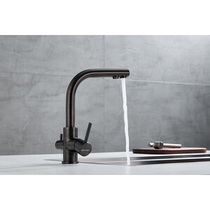 Смеситель для кухни Paulmark Essen с подключением фильтра, вороненая сталь (Es213011-GM)