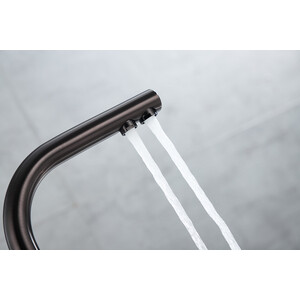 Смеситель для кухни Paulmark Essen с подключением фильтра, вороненая сталь (Es213011-GM)