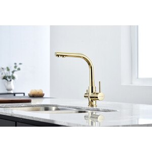 Смеситель для кухни Paulmark Essen с подключением фильтра, золото (Es213011-G)