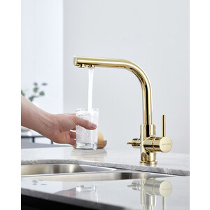 Смеситель для кухни Paulmark Essen с подключением фильтра, золото (Es213011-G)