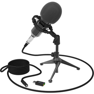 Микрофон Ritmix RDM-160