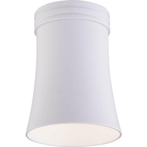 Потолочный светильник Elektrostandard 4690389136146 568₽