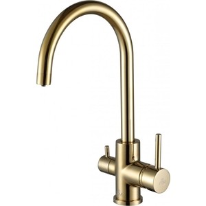 Смеситель для кухни Paulmark Essen с подключением фильтра, золото (Es213211-G)