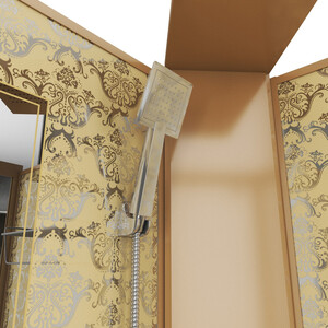 Душевая кабина Niagara NG-7717GBK 100х100х210