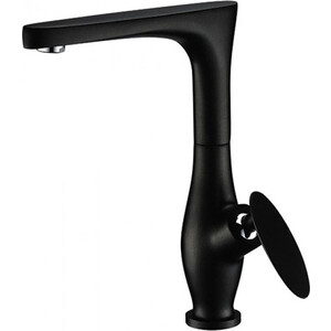 Смеситель для кухни Kaiser Star черный (02044-2)