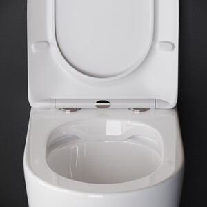 Унитаз приставной безободковый Ceramicanova Highlight Rimless с сиденьем микролифт (CN1812)