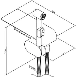 Гигиенический душ Am.Pm Like с гигиенической лейкой, хром (F0202600)
