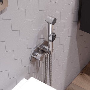 Гигиенический душ Damixa Redblu Option с гигиенической лейкой, хром (212000000)