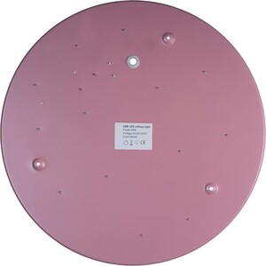 Светильник Loft IT потолочный светодиодный Axel 10003/24 pink