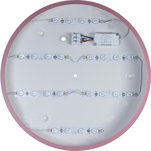 Светильник Loft IT потолочный светодиодный Axel 10003/24 pink