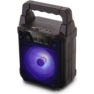 Портативная колонка TELEFUNKEN TF-PS1229B (моно, 8Вт, USB, Bluetooth, FM) черный