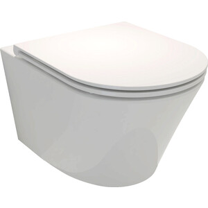 Унитаз подвесной (чаша) Jacob Delafon Rodin+ безободковый, без сиденья (EDY102-00)