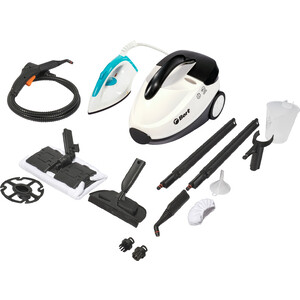 Пароочиститель Bort BDR-2500-RR (Iron)