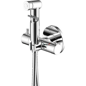 Гигиенический душ Rossinka с гигиеническим душем, хром (X25-58)