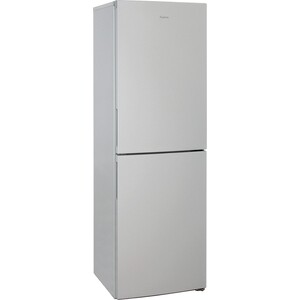 Холодильник Бирюса M6031