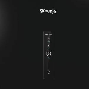 Холодильник Gorenje R619EABK6