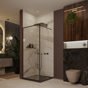 Душевая перегородка Ambassador Walk-in 100х200 прозрачная, черная (15031218)