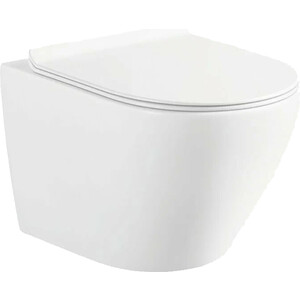 Унитаз подвесной безободковый Selena Circulo с сиденьем микролифт (C001WG)