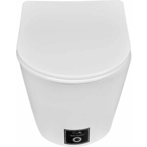 Унитаз подвесной безободковый Emmy с сиденьем микролифт, белый (EY-7006)