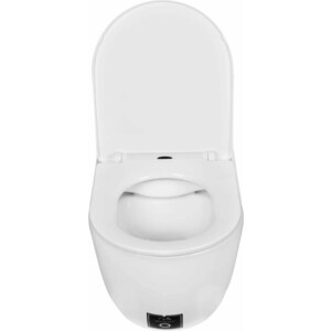 Унитаз подвесной безободковый Emmy с сиденьем микролифт, белый (EY-7010)