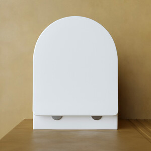 Унитаз подвесной безободковый Ceramicanova Balearica Rimless с сиденьем микролифт, белый матовый (CN6000MW)