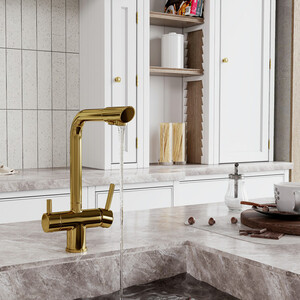 Смеситель для кухни Wasserkraft с подключением фильтра, глянцевое золото (A8377)