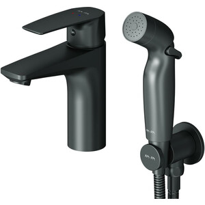 Смеситель для раковины Am.Pm Gem с гигиенической лейкой, черный (F90A03022)