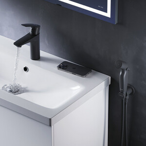 Смеситель для раковины Am.Pm Gem с гигиенической лейкой, черный (F90A03022)