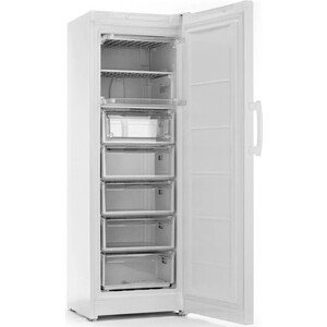 Морозильная камера Indesit DFZ 5175 E
