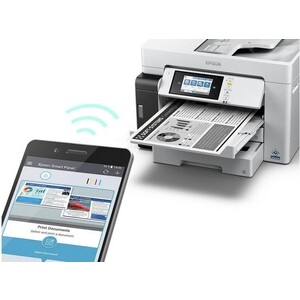 МФУ струйное Epson EcoTank Pro M15180 (112) (C11CJ41408)