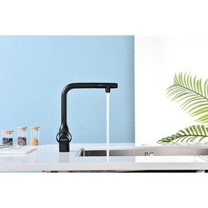 Смеситель для кухни Paulmark Urban с подключением фильтра, антрацит (Ur213104-401)